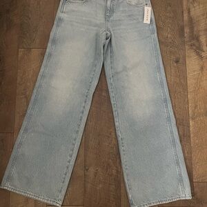 NWT* Pacsun Casey Low Rise Baggy jeans